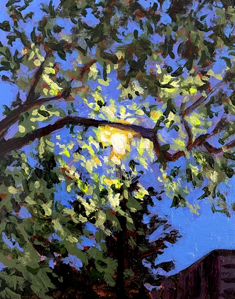 Lamp Light, Dusk, 4x5, Acrylic on Wood Panel, 2026. JacK Ross